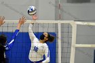 Women’s VB intersquad  Women’s Volleyball inter-squad match. : Women’s Volleyball, VB, inter squad, intersquad